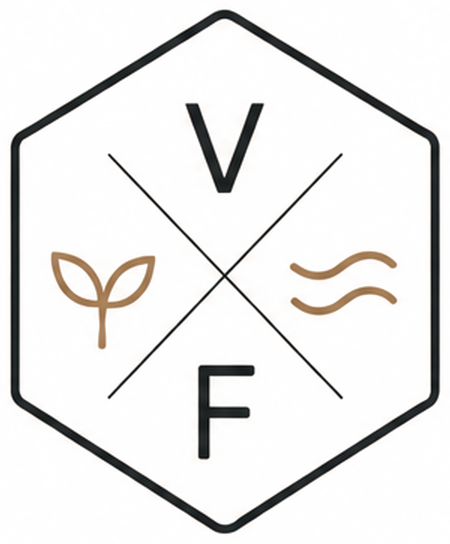 Vital Focus logo